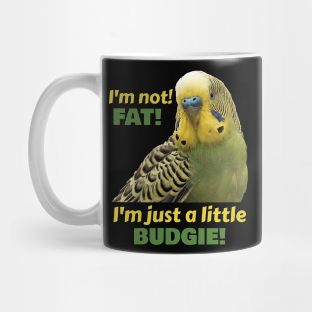 Fat Budgie Parakeet Parrot by Einstein Parrot